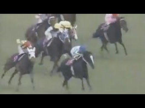 第４７回　優駿牝馬（オークス） （ＧⅠ）　メジロラモーヌ　牝３　55　河内洋　1986.5.18　　出走馬：ユウミロク 、ダイナアクトレス、ファーストマイテイ、ジョーディアレスト、ポットテスコレディ他