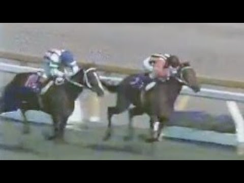 第４３回　優駿牝馬（オークス） 　シャダイアイバー　牝３　55　加藤和宏　1982.5.23　　出走馬：リーゼングロス、ユーセコクイン、メジロカーラ、サクラカナリヤ、ヤマノシラギク、メジロエニフ他