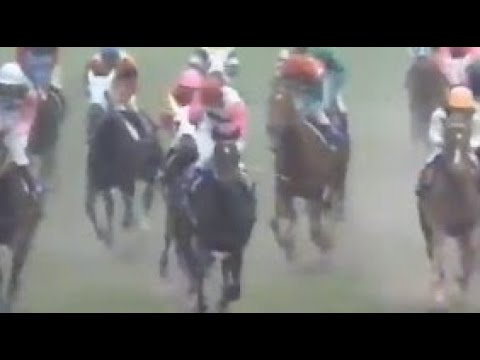 第４５回　優駿牝馬（オークス） （ＧⅠ）　トウカイローマン　牝３　55　岡冨俊一　1984.5.20　　出走馬：ダイアナソロン、ダドリアバンブー 、タケムスメ、チアフルトウショウ、イズミプリンセス他