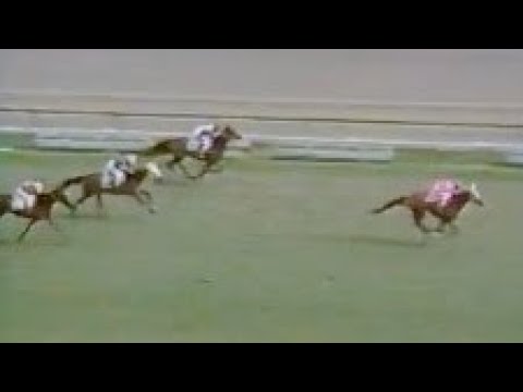 第３４回　優駿牝馬（オークス）　ナスノチグサ　牝３　55　嶋田功　1973.5.20　　出走馬：ニットウチドリ、レデースポート、オキノバンダ、ニシノシラオキ、カシハタ、レデイコトブキ、ヒダコガネ他
