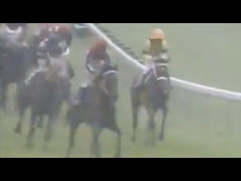 第４９回　優駿牝馬（オークス）（ＧⅠ）　コスモドリーム　牝３　55　熊沢重文　1988.5.22　　出走馬：マルシゲアトラス、アインリーゼン 、フリートーク、シヨノロマン、キリセオリー、アラホウトク他