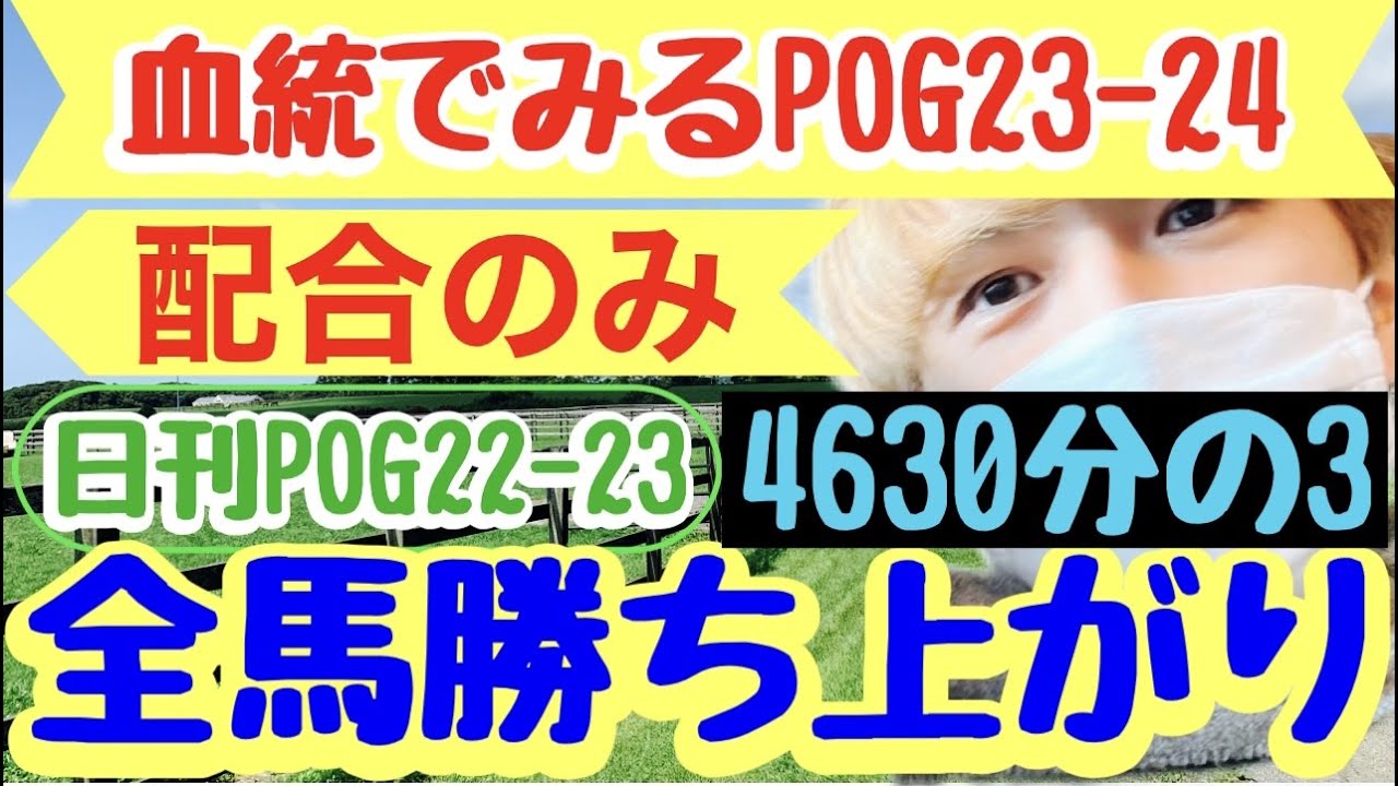 pog2023-24 血統＆配合で有力な馬【3】