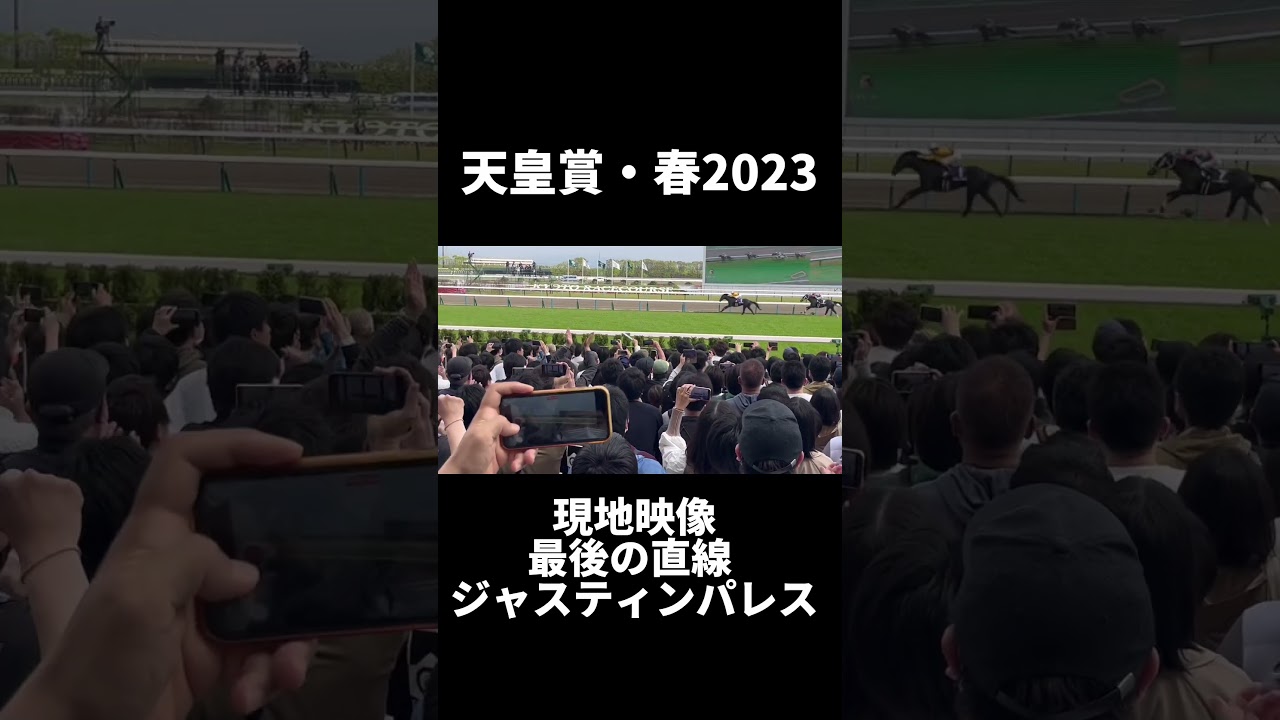 【天皇賞・春2023 現地映像】天皇賞・春 最後の直線 #競馬 #天皇賞春2023 #京都競馬場 #ジャスティンパレス #ルメール #ジャスパ