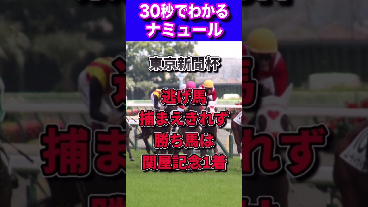 【ヴィクトリアマイル2023】30秒でわかるナミュール