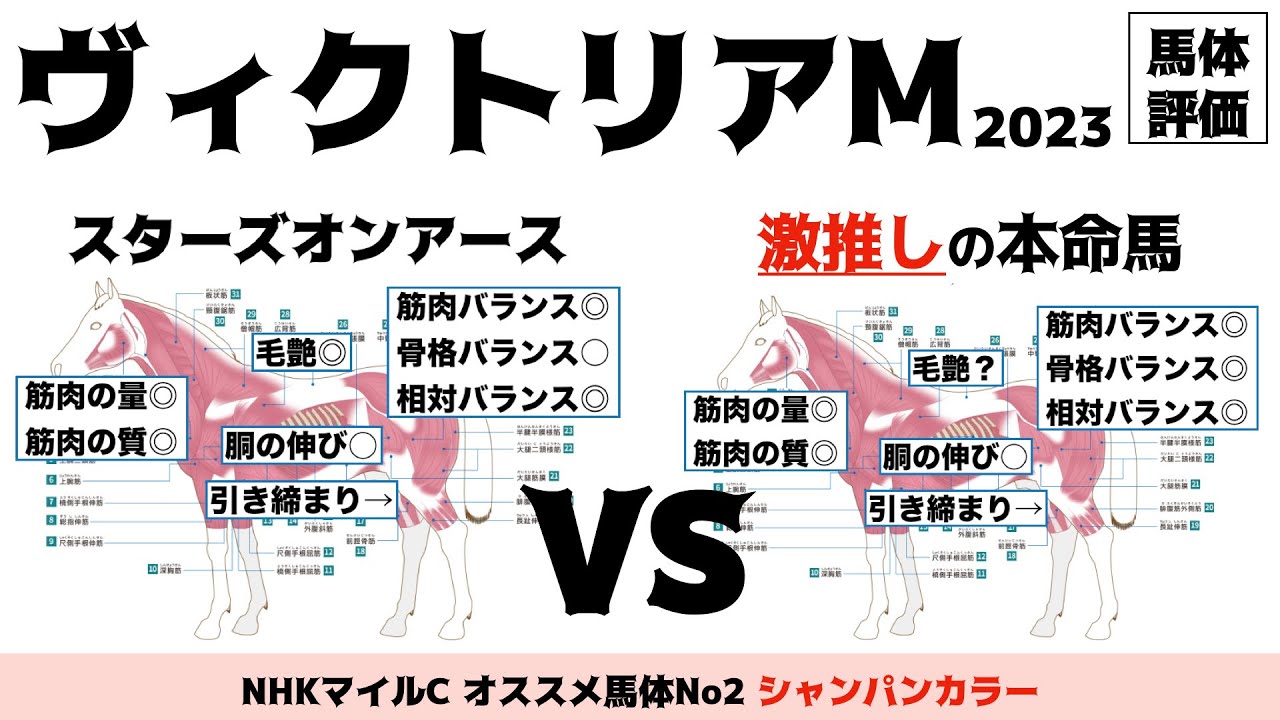 【ヴィクトリアマイル2023】スターズオンアースかソダシのどっちかが本命で良いと思うんだがな…。。【馬体評価】
