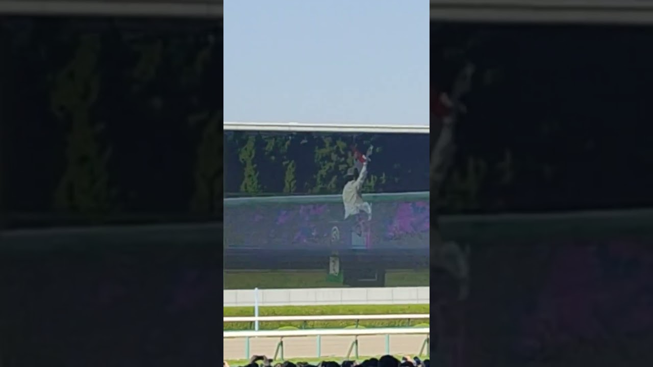 桜花賞ファンファーレ スマートシートより #桜花賞#桜花賞2023 #競馬 #阪神競馬場 #ファンファーレ #生ファンファーレ #歓声 #馬 #楽しい #ワクワク #音楽 #陸上自衛隊第3音楽隊