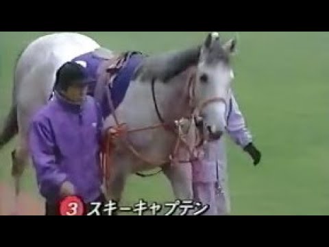 第４６回　朝日杯３歳ステークス （ＧⅠ）　パドック　1994.12.11　出走馬：フジキセキ 、スキーキャプテン、コクトジュリアン、マイティーフォース、トウショウフェノマ、ブイマシン、マイネルガーベ他