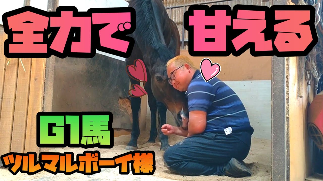 ヒシミラクル号と熱戦を演じた25歳のG1馬が人に甘えまくる姿が可愛すぎました。【ツルマルボーイ様のシモベ】