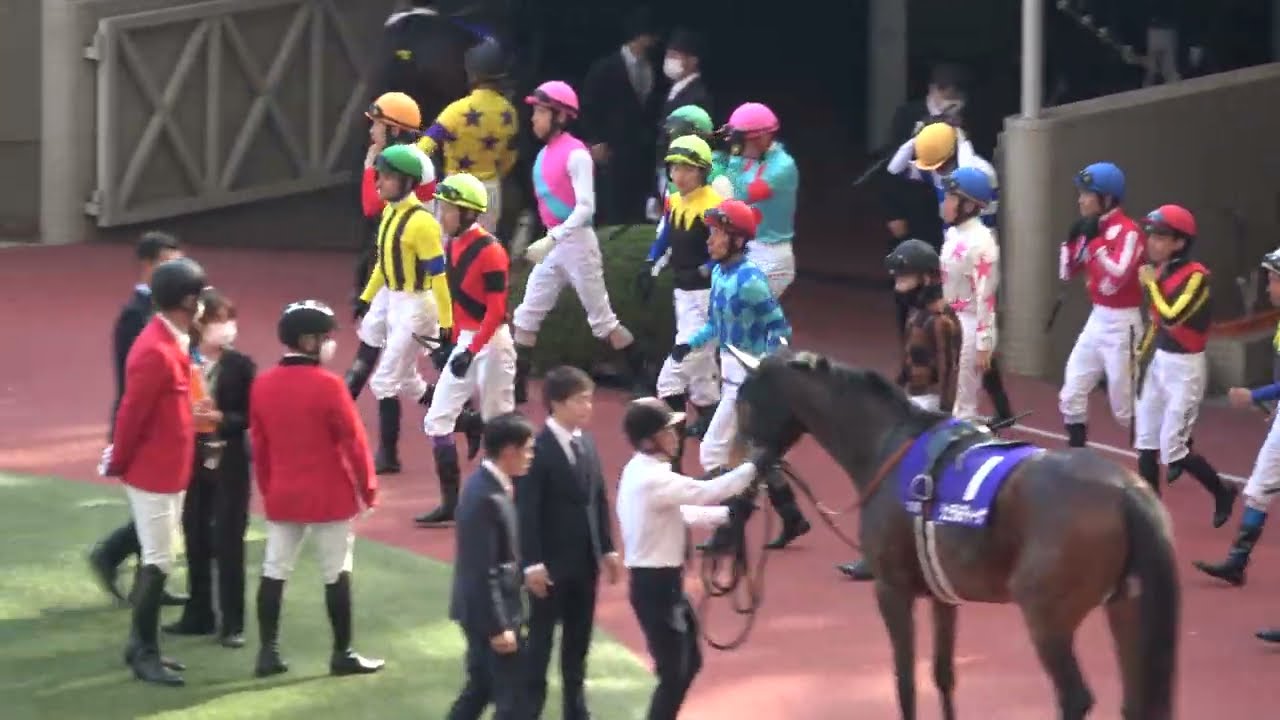 【大阪杯2023】ジャックドールのみパドックと武豊騎乗時の現地映像 ジ