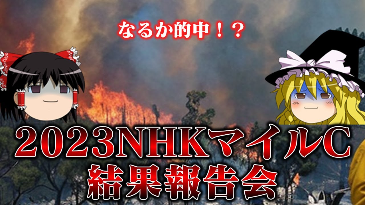 荒れ模様の2023年NHKマイルカップに挑んだお饅頭達　結果やいかに