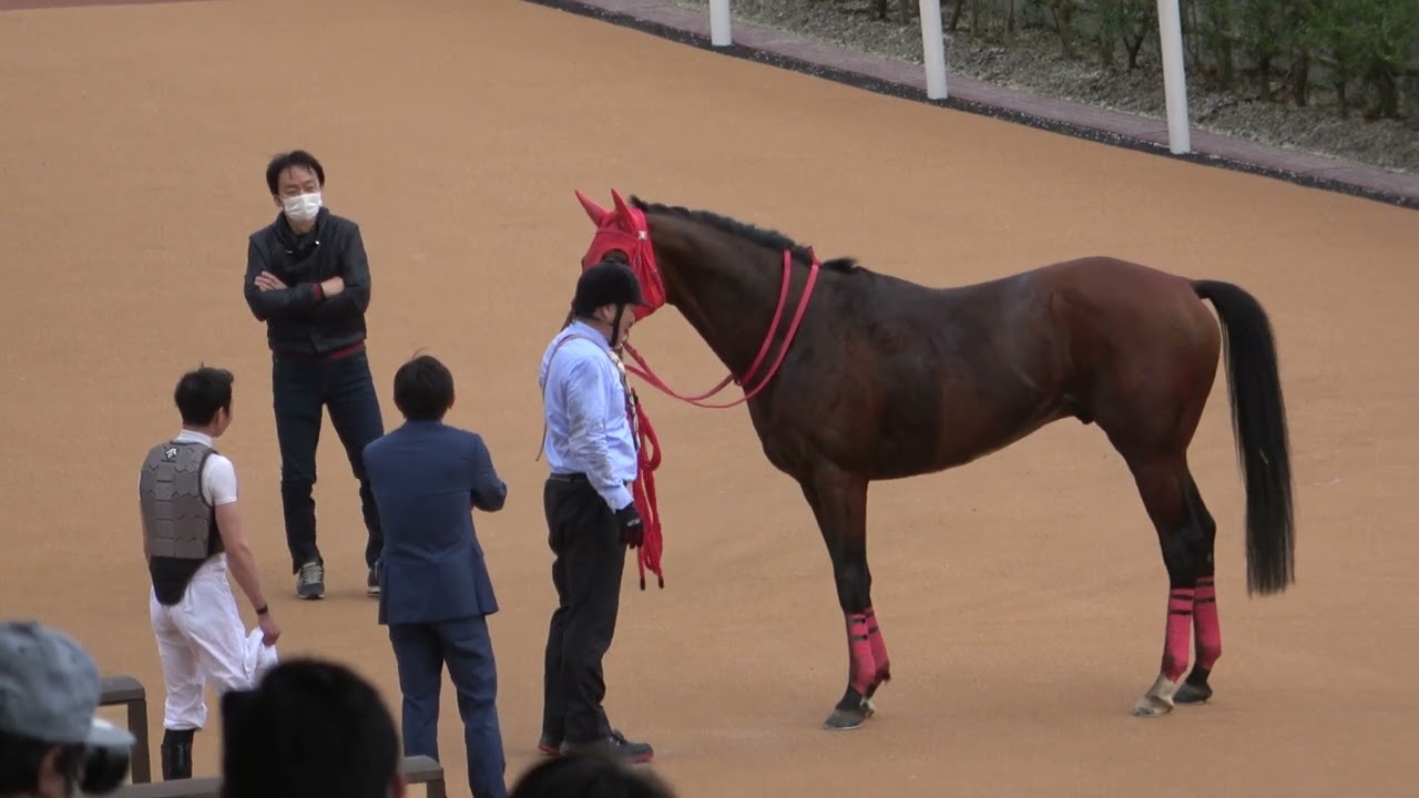 【天皇賞(春)2023】トーセンカンビーナの状況を伝える岩田望来 現地映像