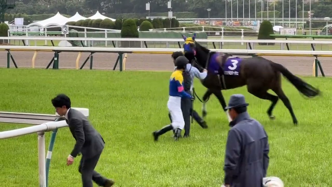 （癖馬）ヴィクトリアマイルの馬場入場で騎乗を嫌がり松山弘平騎手を困らせるサウンドビバーチェ号
