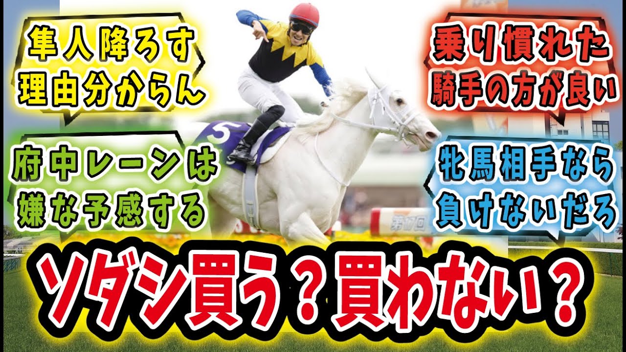 「ソダシ、鞍上レーンに乗り替わりだけどヴィクトリアマイルで買う？」に対するみんなの反応集