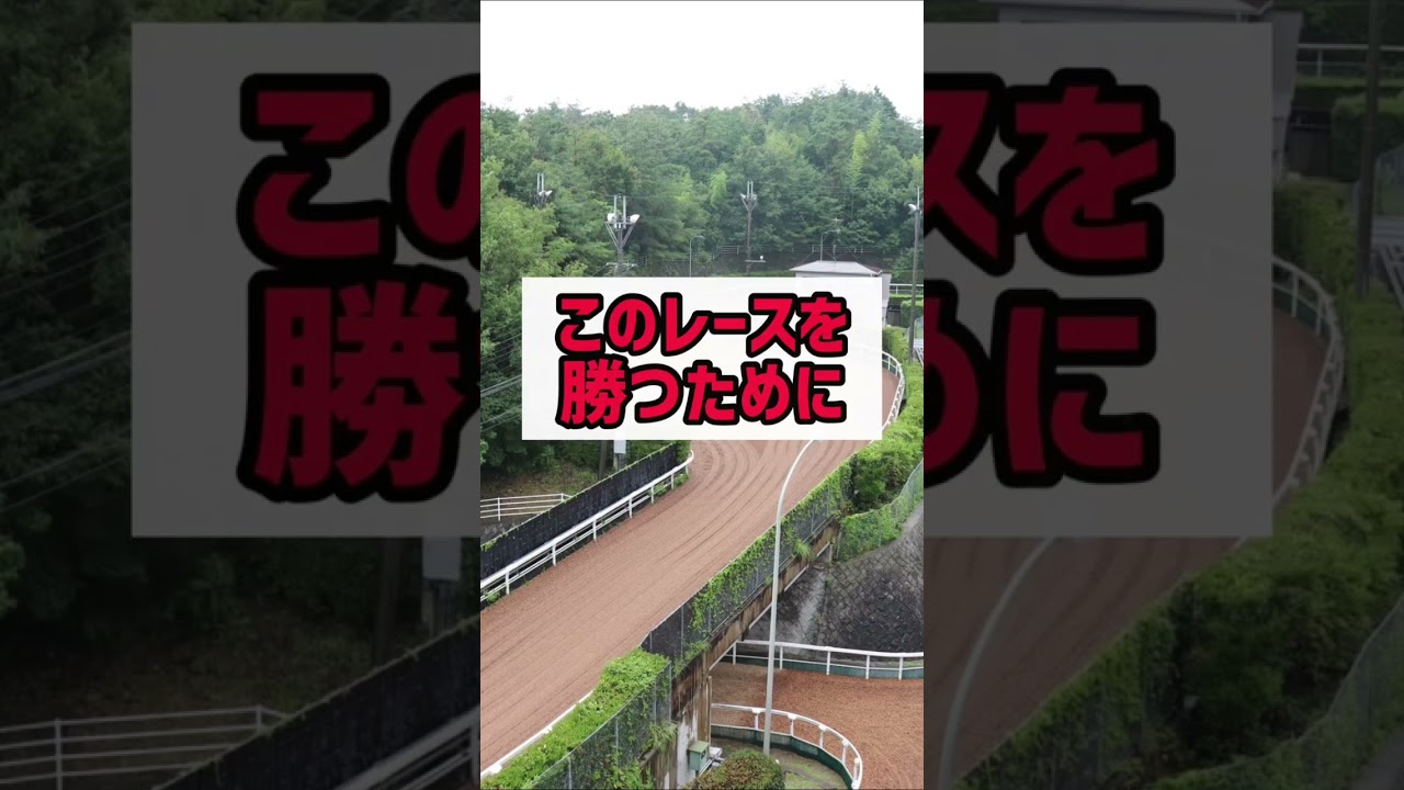 【競馬予想】2023桜花賞#競馬 #予想 #当たる #追い切り #大阪杯2023 #桜花賞2023