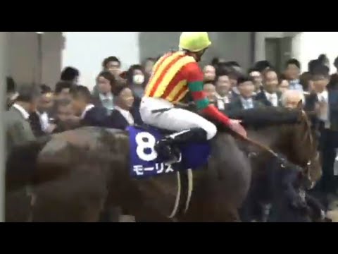 天皇賞（秋）1着モーリス号（R.ムーア騎手）&生ファンファーレ（個人撮影）&検量室前　2016年10月30日（日）東京競馬場