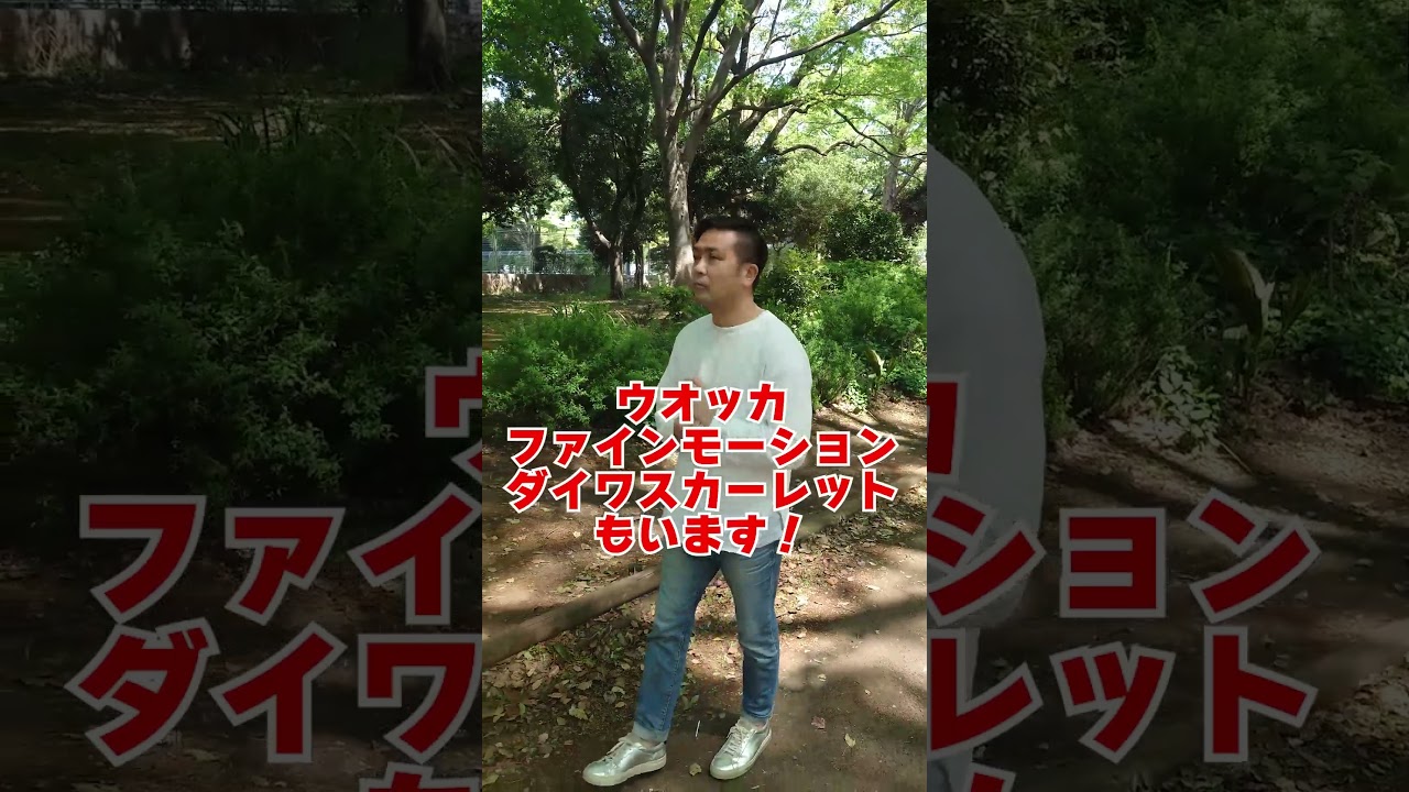 質問来てました！日本競馬史上最強の牝馬はどの馬だと思いますか？　#shorts #競馬