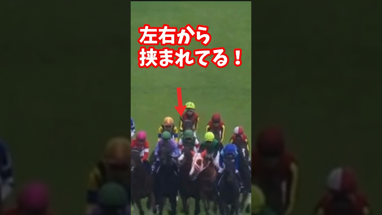 ヴィクトリアマイルＧＩ　ナミュールの不利