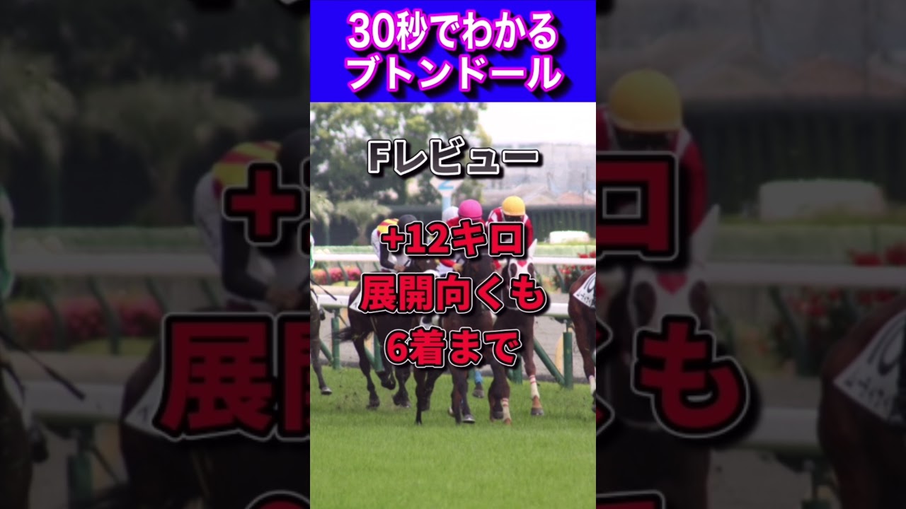 【桜花賞2023】30秒でわかるブトンドール