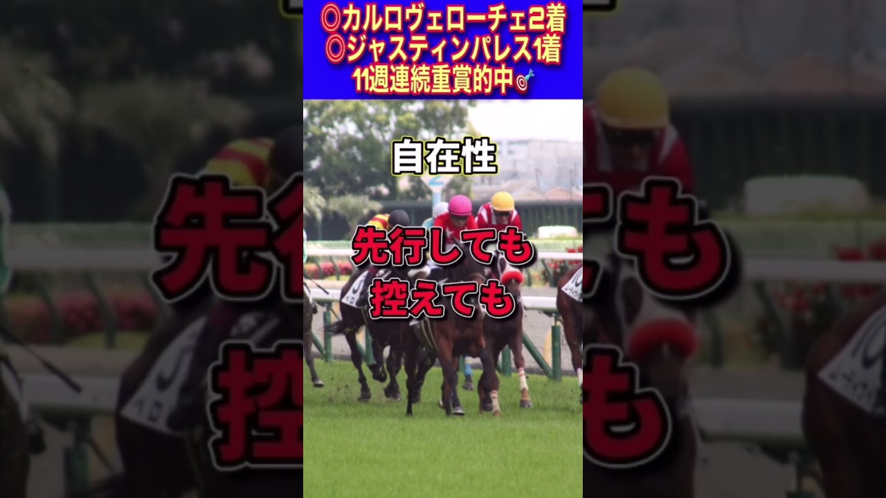 【高松宮記念2023】30秒でわかるファストフォース