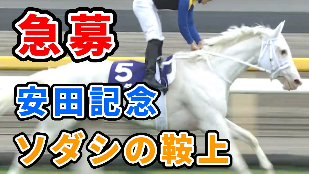 【安田記念】セリフォス→レーン　ソダシ→？？？