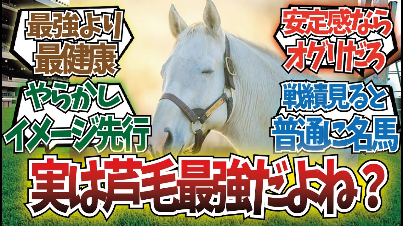 「ゴールドシップって芦毛最強なのに、いまいち最強感がないのはなぜ…？」に対するみんなの反応