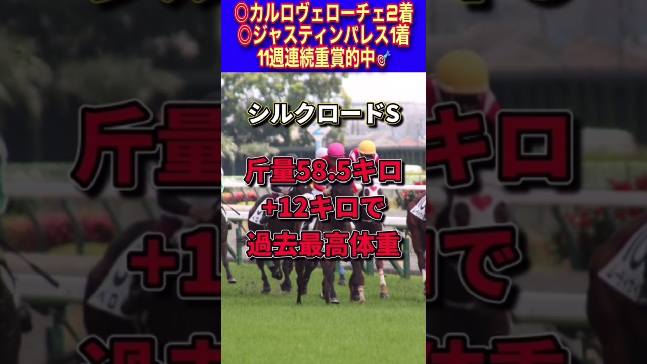【高松宮記念2023】30秒でわかるトウシンマカオ