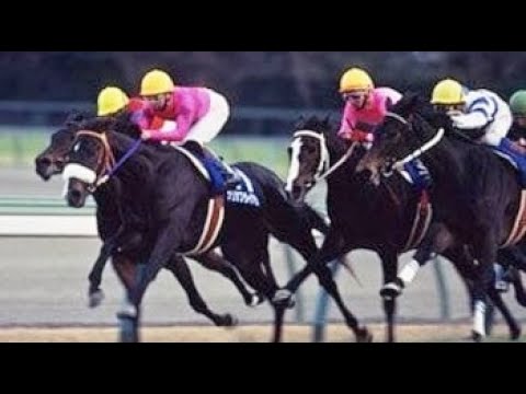 第３９回　有馬記念（グランプリ）（ＧⅠ）　ナリタブライアン　牡３　 55　南井克巳　1994.12.25　　出走馬：ヒシアマゾン、ライスシャワー、アイルトンシンボリ、ナイスネイチャ、サクラチトセオー他