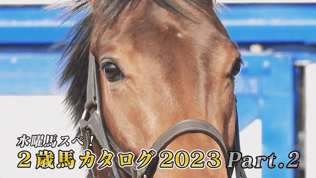 【POG】2歳馬カタログ2023 Part.2 / JRA-VAN[公式]