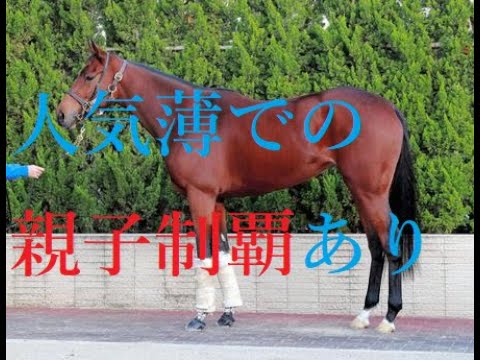 オークス 2023 桜花賞組は距離延長で複数凡走 別路線組が勝つ！！隠れた実力馬