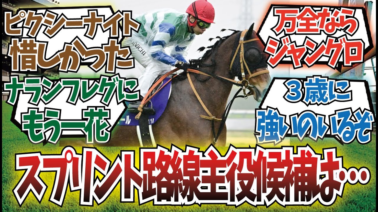 「メイケイエールに期待したい？今のスプリント路線って混沌としてるよね」に対するみんなの反応集