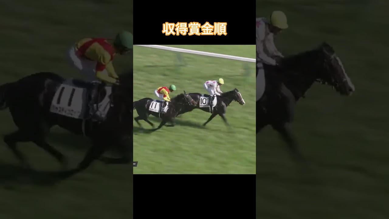 【朗報】日本ダービー出走馬　出揃う！！に対するみんなの反応 #shorts