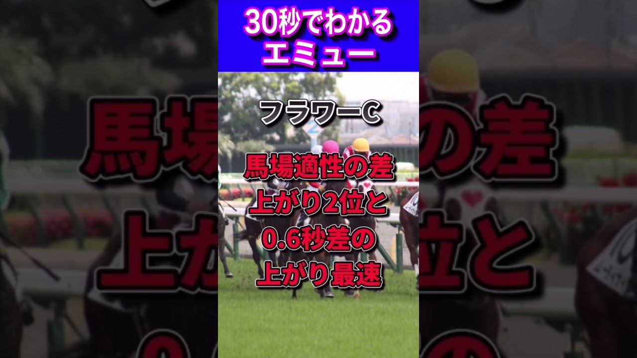 【桜花賞2023】30秒でわかるエミュー