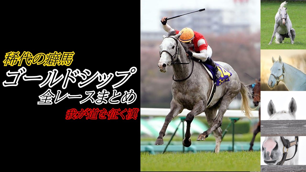 稀代の癖馬『ゴールドシップ』全レースまとめ