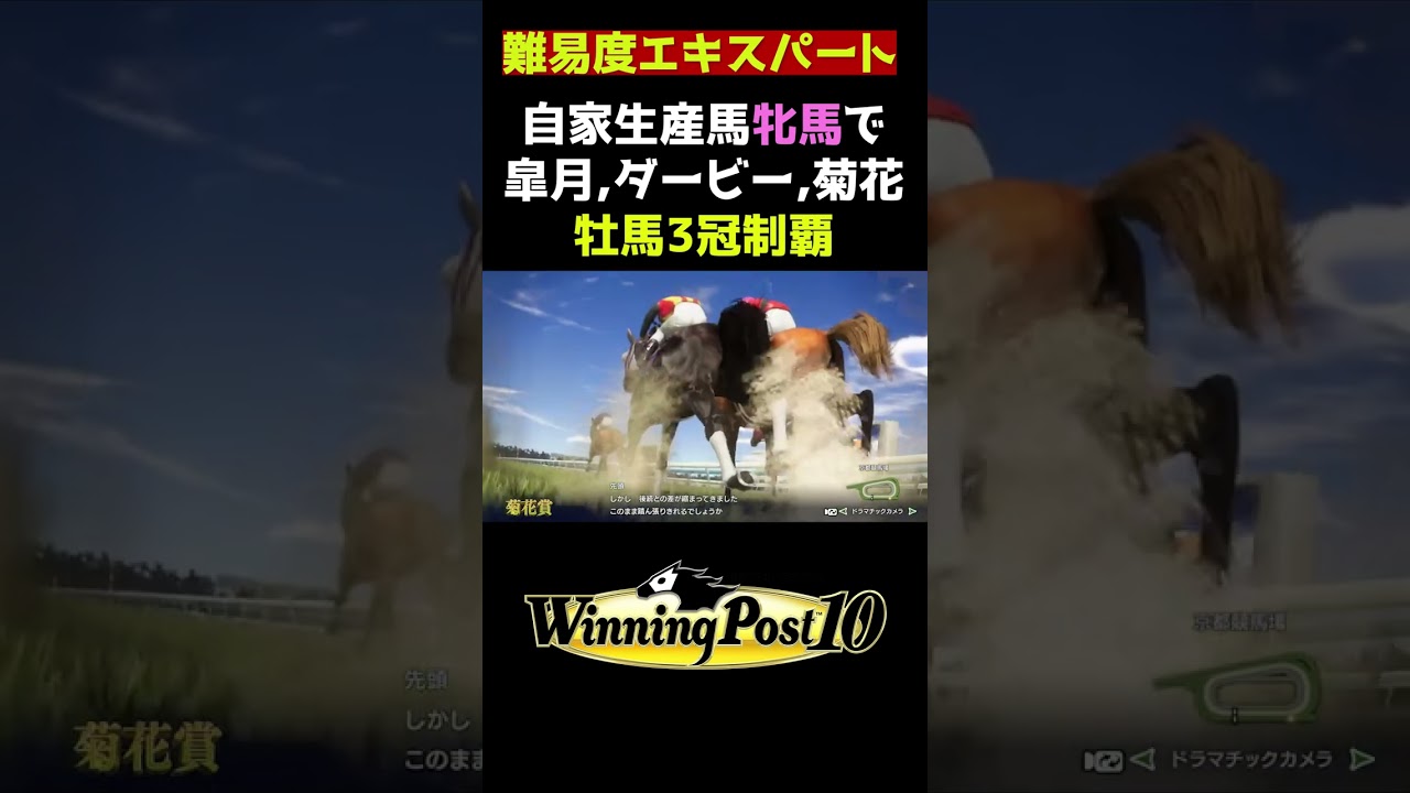 【ウイニングポスト１０】自家生産馬の牝馬 で 皐月賞,日本ダービー,菊花賞牡馬3冠制覇!! 最高難易度 エキスパート【配信 切り抜き】#shorts
