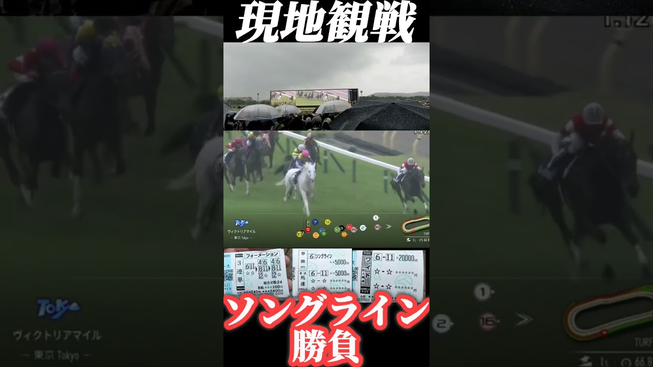 ヴィクトリアマイル、現地でソングラインから3万勝負した結果……#shorts#競馬#ヴィクトリアマイル#ソングライン