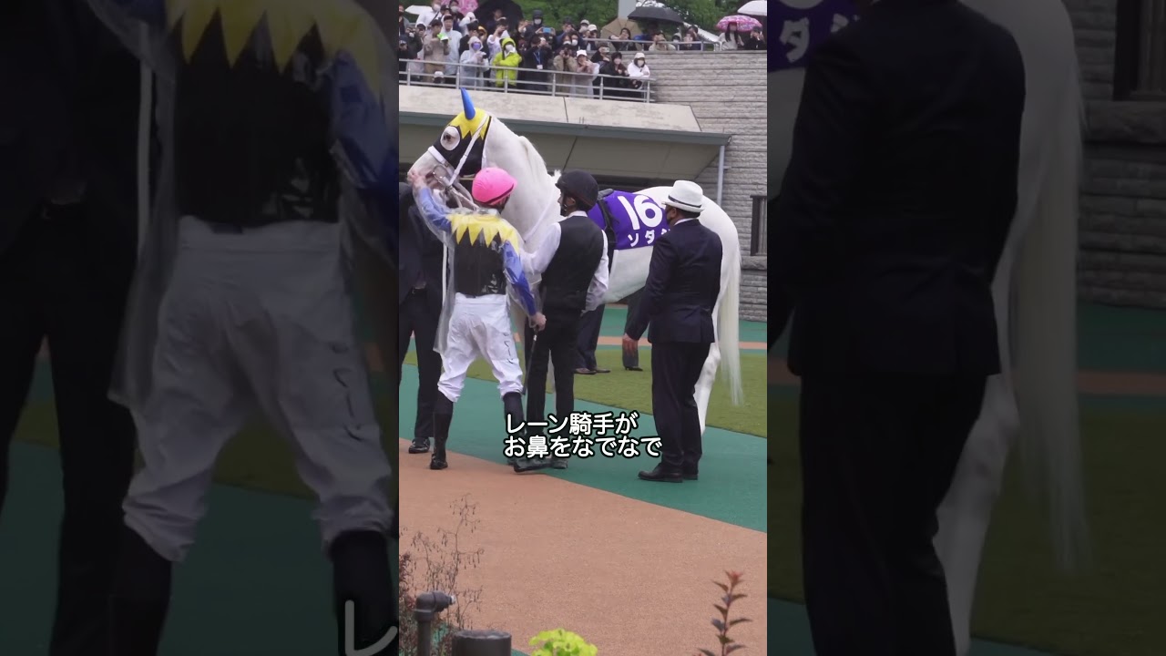 ヴィクトリアマイルのパドックを歩くソダシで「可愛くてごめん」