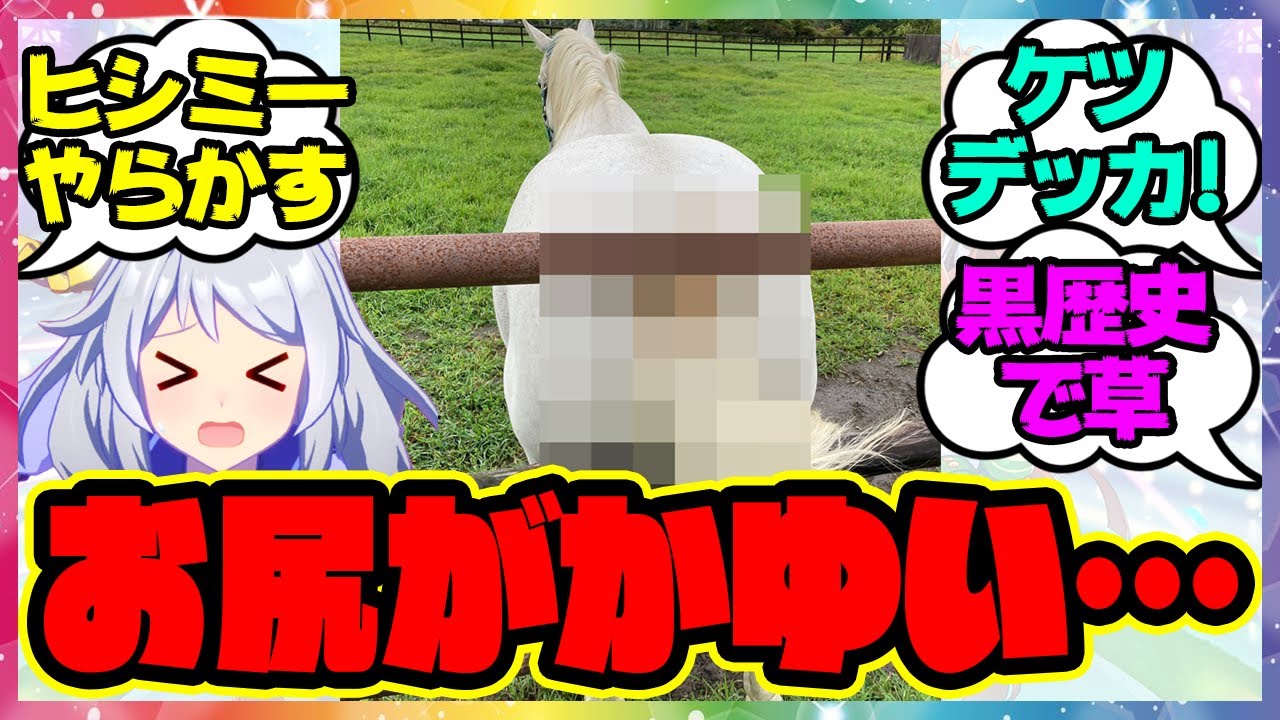 『お尻がかゆくて●●をしてしまう史実のヒシミラクル』に対するみんなの反応集 まとめ ウマ娘プリティーダービー レイミン 競馬