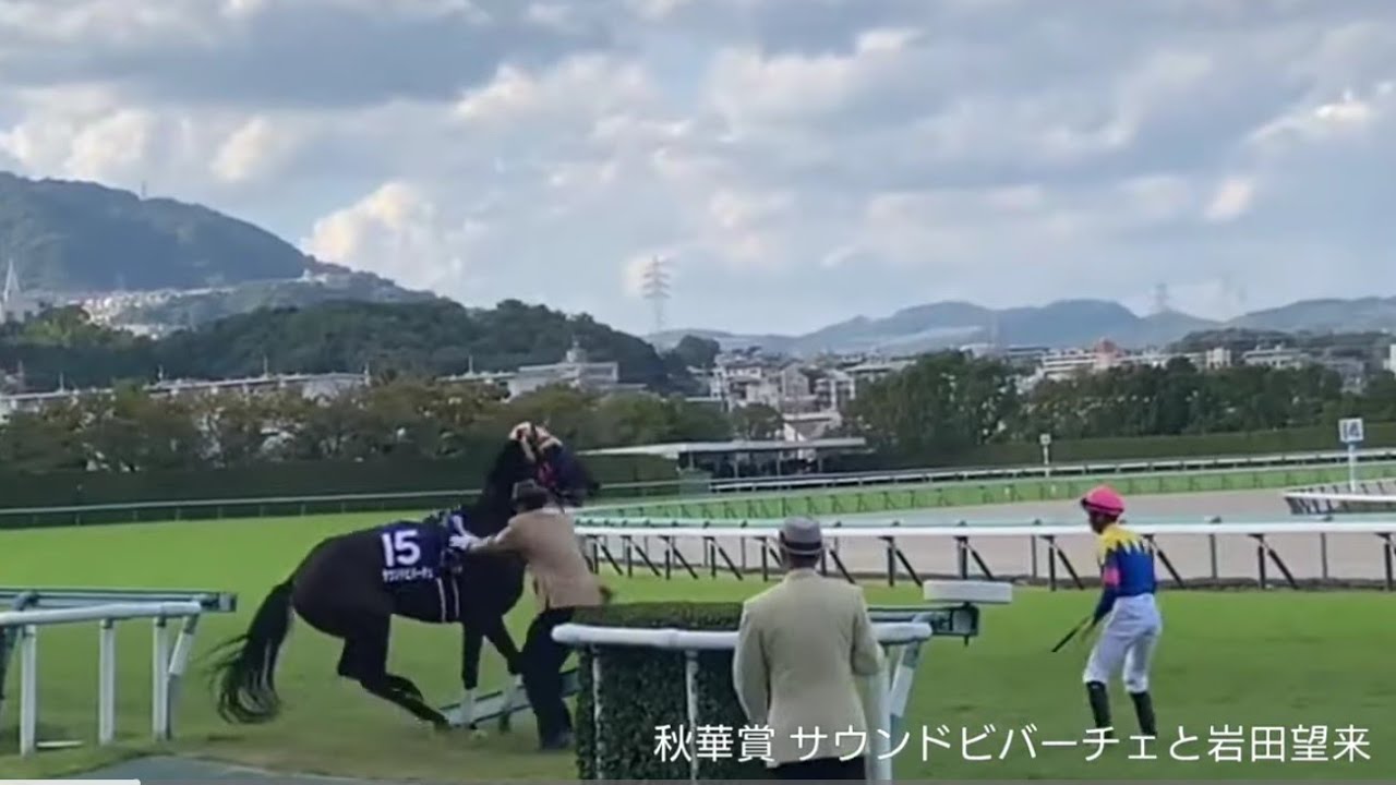 岩田望来騎手と職員にサウンドビバーチェが大暴れで落馬放馬