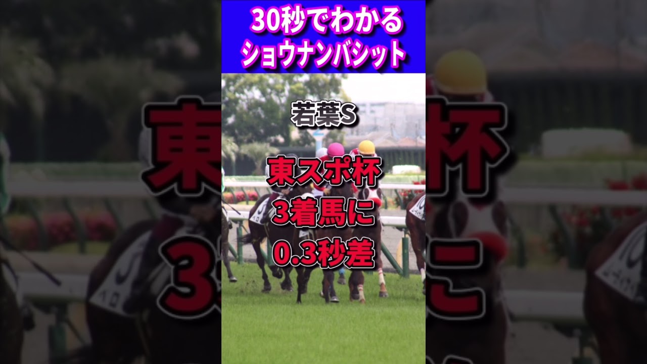 【皐月賞2023】30秒でわかるショウナンバシット