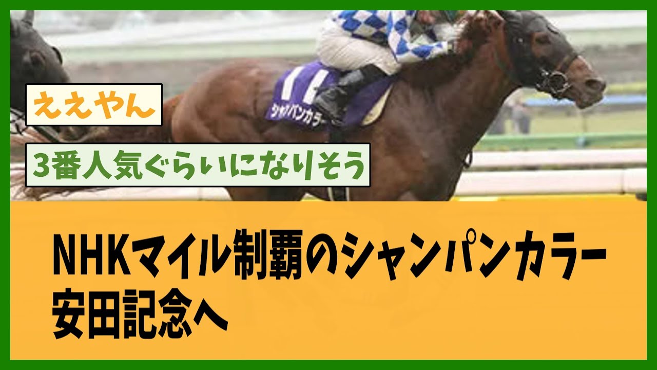 NHKマイル制覇のシャンパンカラー、安田記念へ【2ch 5ch スレ】