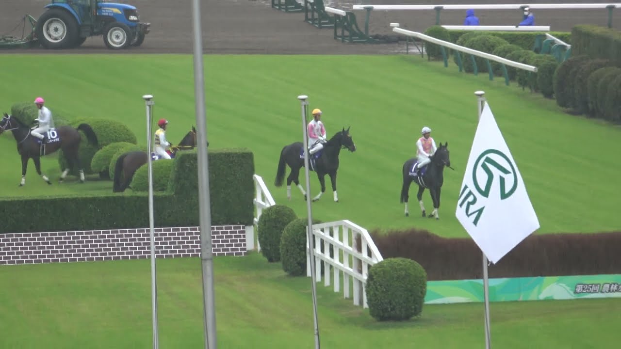 【中山グランドジャンプ2023】本馬場入場 現地映像 イロゴトシ