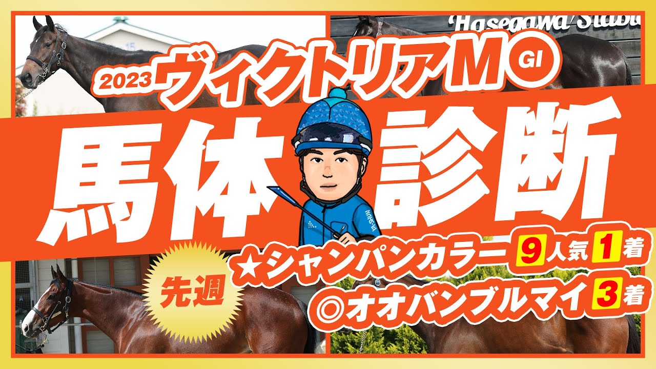 【ヴィクトリアM 2023】先週は★特注馬が９人気１着、◎イチオシ馬が3着と推奨馬２頭がW激走！東京マイルは俺に任せろ！某大手牧場の元スタッフが見抜くGⅠ馬体診断！GⅠフォトパドック【競馬予想】