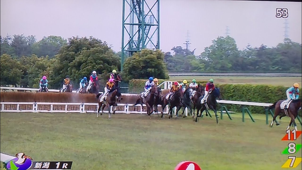 新潟1レース障害オープン サペラヴィ