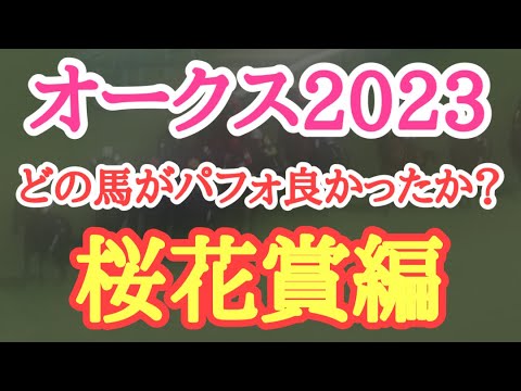 【オークス2023】桜花賞組でパフォーマンスが良かったのはどの馬だ！？そして優駿牝馬でも狙えそうな馬は？