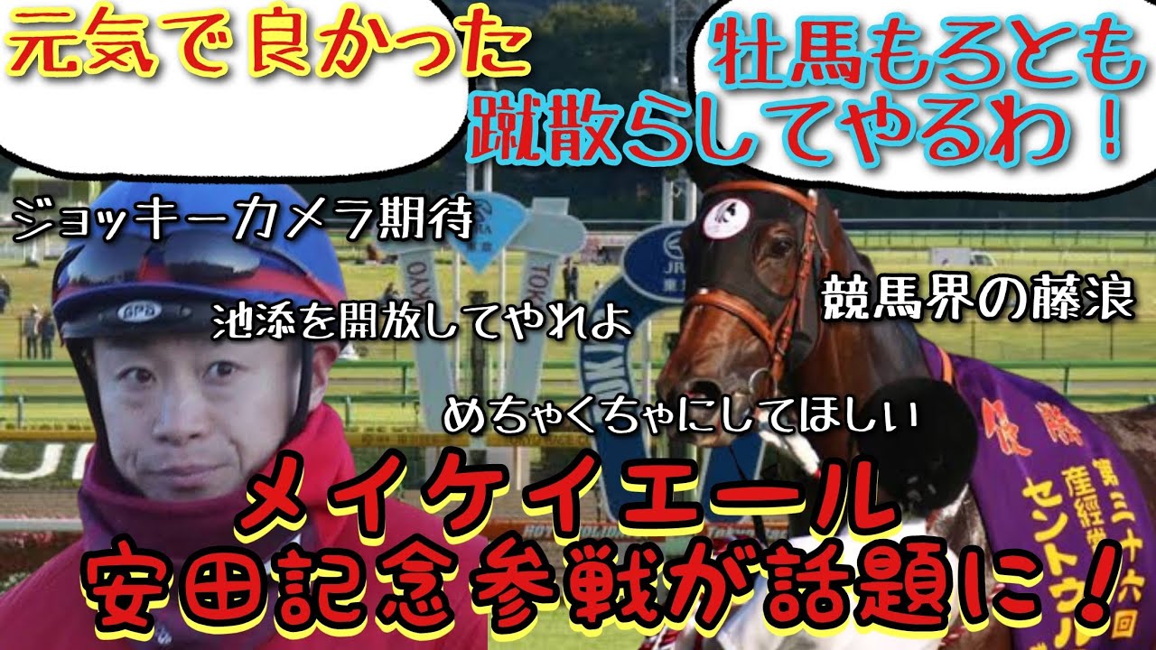 【競馬】メイケイエール 安田記念参戦が話題に！【みんなの反応】