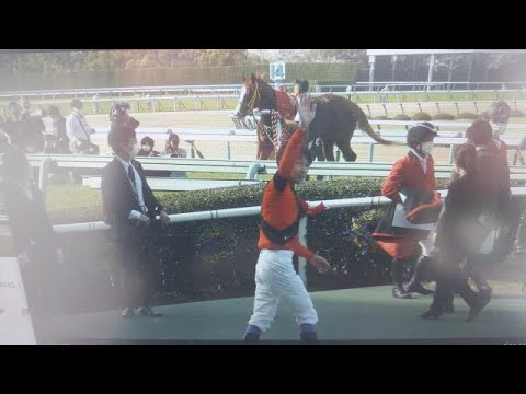 大阪杯(GⅠ) 現地 レース後 ジャックドールや武豊騎手などスタッフの方が表彰式のため姿を見せる 2023/4/2 阪神競馬場 11R
