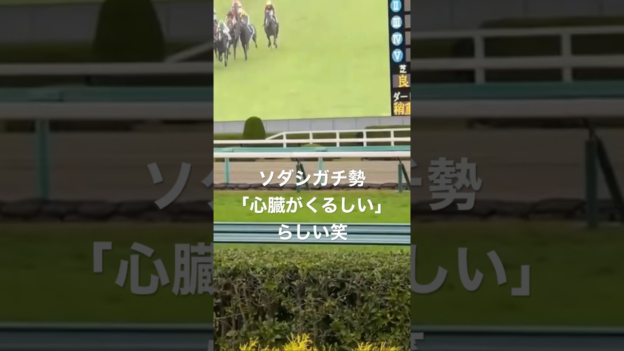ソダシガチ勢🐴#short#マイルCS#ジョッキーカメラ#競馬#ウマ女#ウマ娘#オークス#ダービー #ヴィクトリアマイル