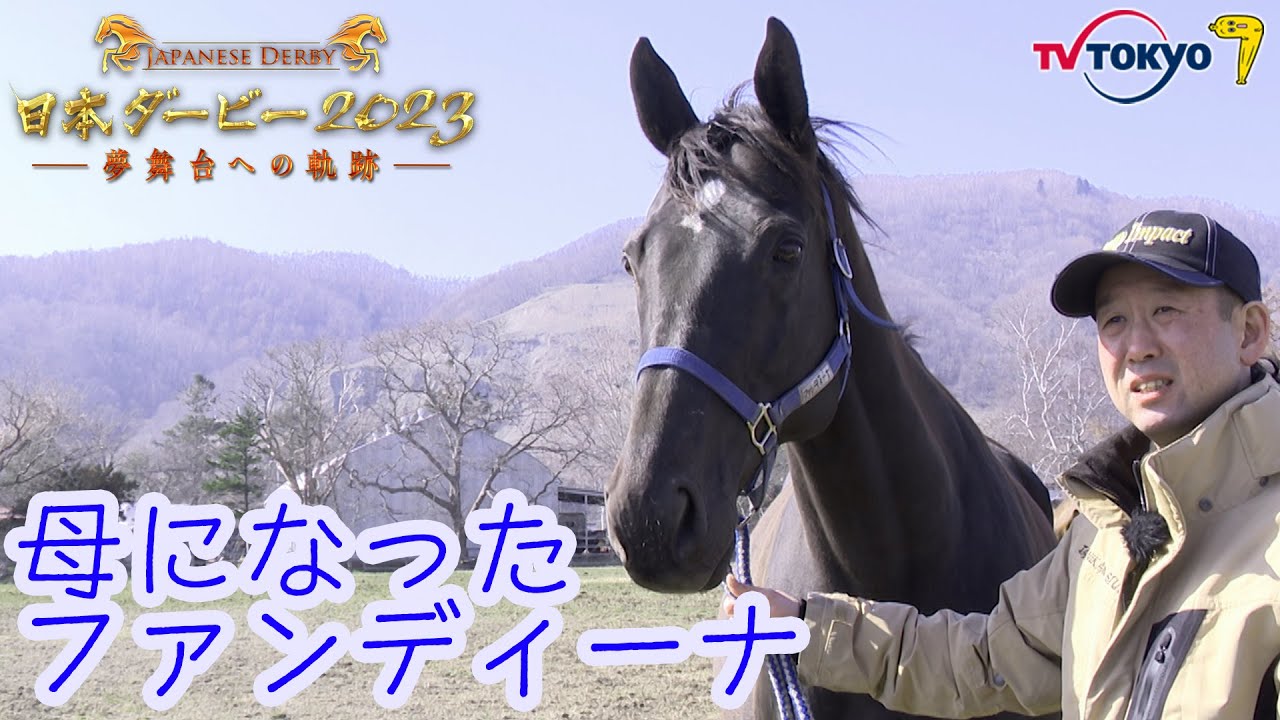 【ダービー直前！配信限定】皐月賞１番人気！母になったファンディーナ…今の姿がカワイイ｜日本ダービー2023 〜夢舞台への軌跡〜5月20日（土）午後4時30分