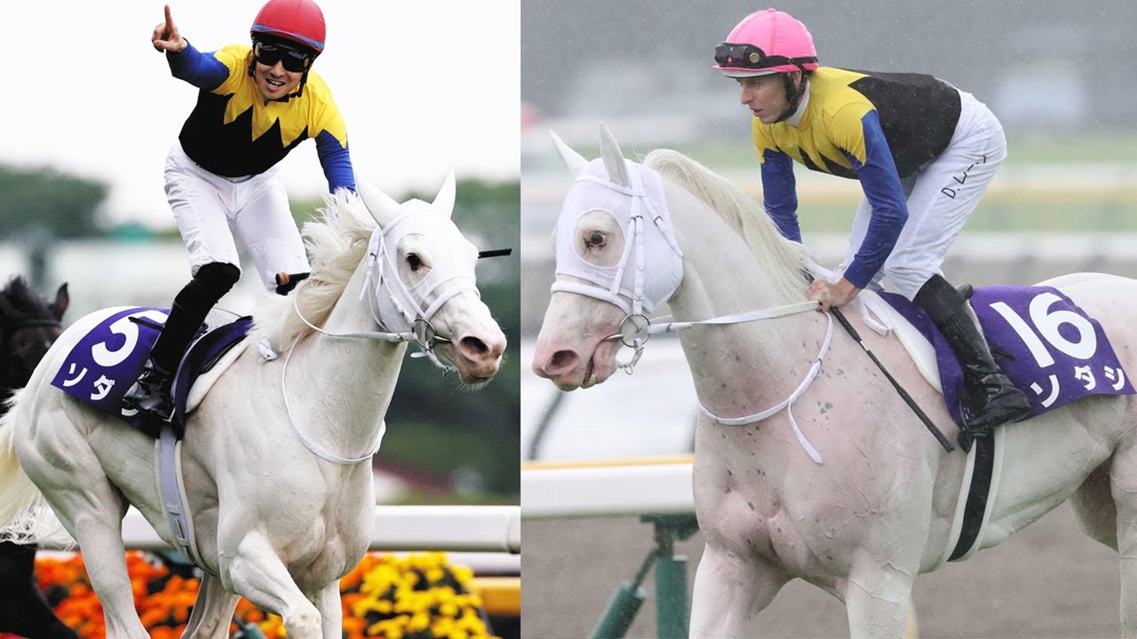 【ヴィクトリアM】2着ソダシ騎乗のレーンに過怠金5万円　発走後に内側斜行でナミュールなど4頭が被害