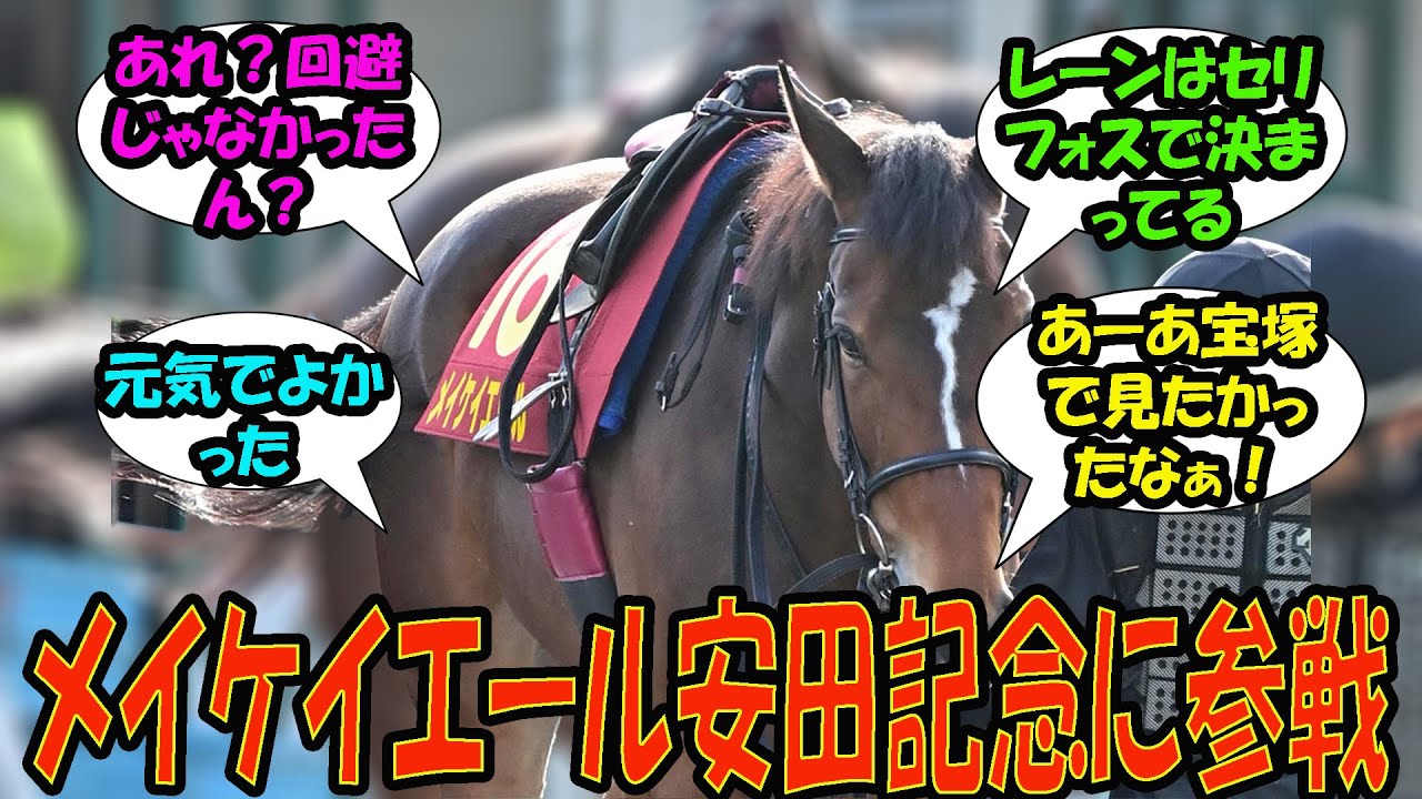 【競馬の反応集】「メイケイエール安田記念に参戦」に対する視聴者の反応集